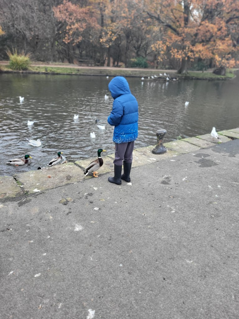feeding the ducks