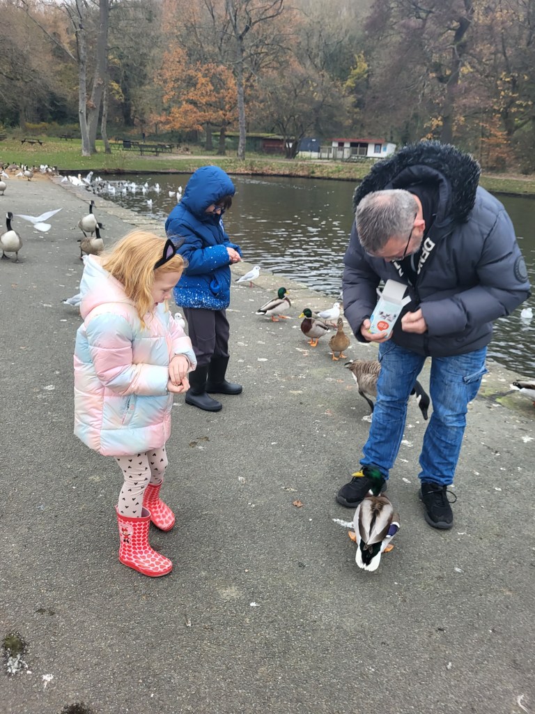 feeding the ducks